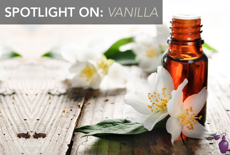 Spotlight On Vanilla Eau Talk The Official FragranceNet Blog